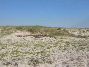 Gallery image of 5 person holiday home in Føllenslev-By Traum in Føllenslev