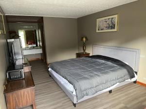 ein Schlafzimmer mit Bett und Flachbildfernseher in der Unterkunft Lemon Inn in Spruce Pine