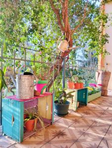 a garden with potted plants on a patio at Santa Angela alojamiento de campo in Salto