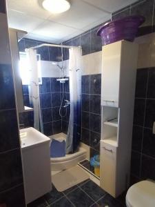 a bathroom with a shower and a toilet and a sink at Apartments with parking space Lopar, Rab - 5019 in Lopar +18 photos