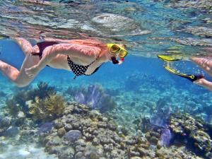 里奥格兰德Brisa's De Puerto Rico B302的在珊瑚礁附近水域游泳的人