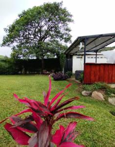 Galería fotográfica de Glamping Karl en Monteverde Costa Rica