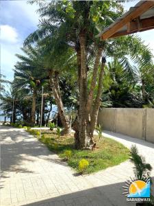 a palm tree on the side of a sidewalk at Saraswati Exclusive Resort in Esperanza