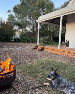 un cane sdraiato sull'erba accanto a un braciere di Gorgeous Country Cottage In Lovely Private Grounds a Scone Altre 22 foto
