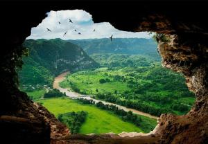 a view of a valley from a cave with birds flying at Casita Linda in Arecibo +8 photos