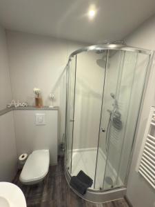 エムデンにあるMöwenhausのシャワーとトイレ付きのバスルーム