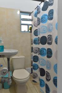 un bagno con un water, un lavandino e una tenda da doccia di CASA NOCHE AZUL alojamiento turístico a Villa de Leyva Altre 23 foto