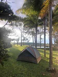 a tent sitting in the grass next to a palm tree at Hotel Fazenda Portal da Canastra in Zogaias