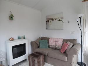 ein Wohnzimmer mit Couch und Kamin in der Unterkunft Pet-Friendly Bungalow in Warmenhuizen