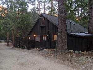 une cabane noire dans les bois avec un arbre dans l'établissement Idyllcottage Historic In-town, Hottub, Ac, Dog Ok, à Idyllwild
