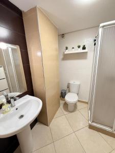 2P apartment, sea and pool في بوزنيقة: حمام مع مرحاض ومغسلة ودش