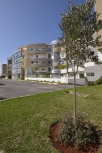 2P apartment, sea and pool في بوزنيقة: شجرة في العشب امام مبنى +23 صورة