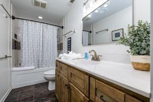a bathroom with a sink and a toilet and a mirror at Ski Slope Views Hot Tub Pool & Best Resort Spot! in Massanutten +24 photos
