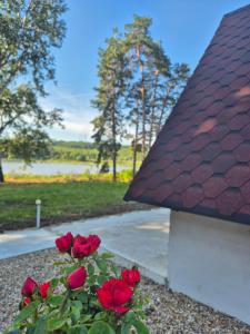 Taman di luar Вили Янкови +8 gambar
