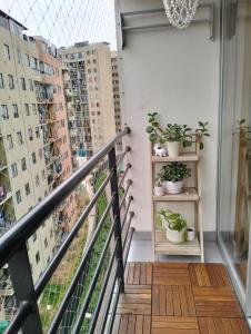 a balcony with potted plants on shelves on a building at Adriana in Lima