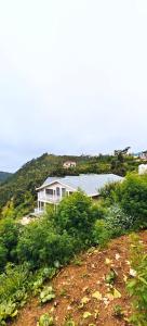 a house on the side of a hill with bushes at Rosewood Cottage in Mukteshwar +28 photos