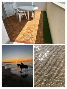 a picture of a table and a horse on the beach at Casa Vacanze Mare Gargano Puglia Marina Di Lesina - 4g min in Lesina