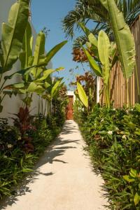 a dirt pathway with green plants and a building at Di Cappio Studio Uluwatu in Uluwatu