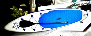 a blue and white surfboard sitting on the ground at Heitiare lodge in Paea