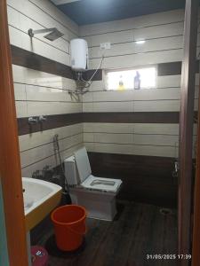 a bathroom with a toilet and a sink at Aru Homestay Hampi in New Hampi