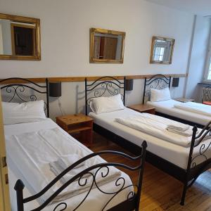 two twin beds in a room with two windows at Hotel Gasthaus Schützen in Freiburg im Breisgau