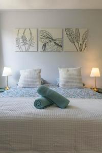 a bedroom with a bed with two pillows on it at Le Raymond - Appartement proche du centre sportif, des rives de l'Allier et du centre-ville - parking in Vichy