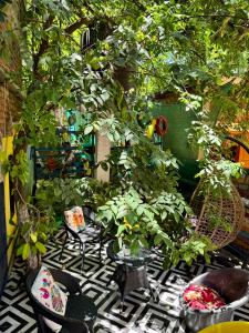 a garden with chairs and plants on a black and white floor at Assam Home Hostel Project in Guwahati +7 photos