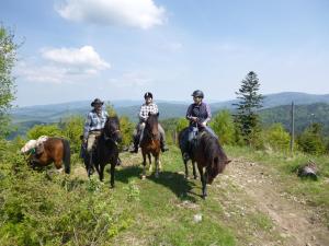 a group of three people riding horses on a trail at Górskie Siedlisko - Chata Rycerska in Rycerka Górna