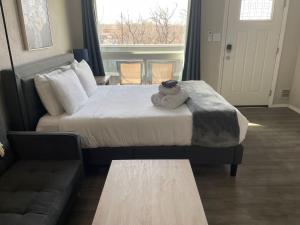 a hotel room with a bed with a cat sitting on it at Studio Wbalcony-nob Hill, Unmh, Pres Hosp in Albuquerque