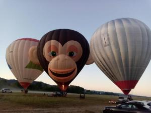 three hot air balloons with a monkey face on them at Studio au calme les hirondelles in Les Mées
