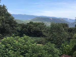 a forest of trees with mountains in the background at Studio au calme les hirondelles in Les Mées