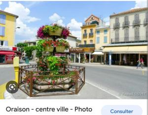 a picture of a street with flowers in a cart at Studio au calme les hirondelles in Les Mées +10 photos