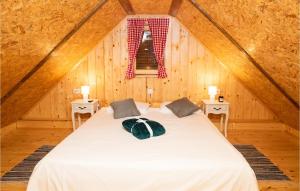 a bedroom with a large bed in a attic at Cozy Home In Stari Brod With Sauna in Stari Brod