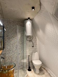 a bathroom with a toilet and a shower stall at SaguleResort in Monasteri