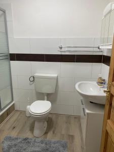 a bathroom with a toilet and a sink at Ferienwohnung -Bernie EG Sandhorst in Aurich