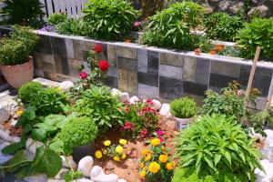 Ảnh trong thư viện ảnh của Neruda Hotel ở Kalkan