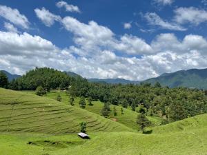 a green field with a barn on top of it at Lhamhendo Retreat in Mārkhu