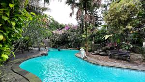 a pool in the middle of a resort with trees at Edensor Hills & Resort in Pasirkuda