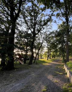 Fotografie z fotogalerie ubytování Acorn Home v destinaci Černovice