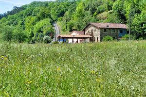 a house in the middle of a field of grass at Las Casucas del Cartero in Cantabria