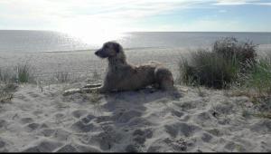 Природа в окрестностях апартаментов/квартиры +24 фотографии