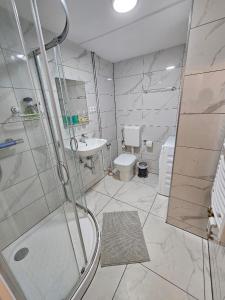 a bathroom with a shower and a toilet and a sink at Wohnung Hochbild in Überlingen