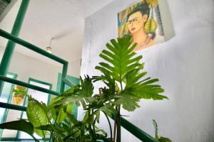 a room with green plants and a painting on the wall at Stylish Art Déco Mexican House with rooftop in Guadalajara +54 photos