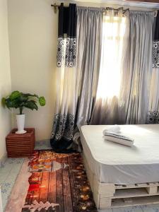 Fotografie z fotogalerie ubytování cozy home close to airport v destinaci Nairobi