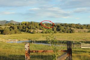 un frisbee rojo en un campo con una valla en Sevier River Ranch & Cattle Company, en Hatch