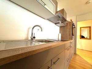 a kitchen with a sink and a counter top at NaturTraum Kniebis in Freudenstadt