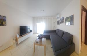 a living room with a couch and a tv at Vivienda vacacional Rous in Los Llanos de Aridane