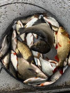 Φωτογραφία από το άλμπουμ του Natura Apartamenty σε Swaderki