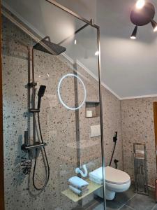 a bathroom with a shower and a toilet at Lemon Garden in Gjirokastër +55 photos