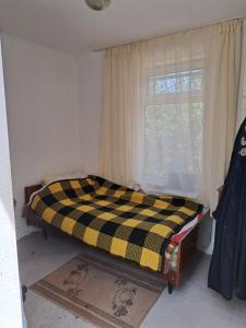 Afbeelding uit fotogalerij van Дача Байтик in Tash-Tyube +17 foto's